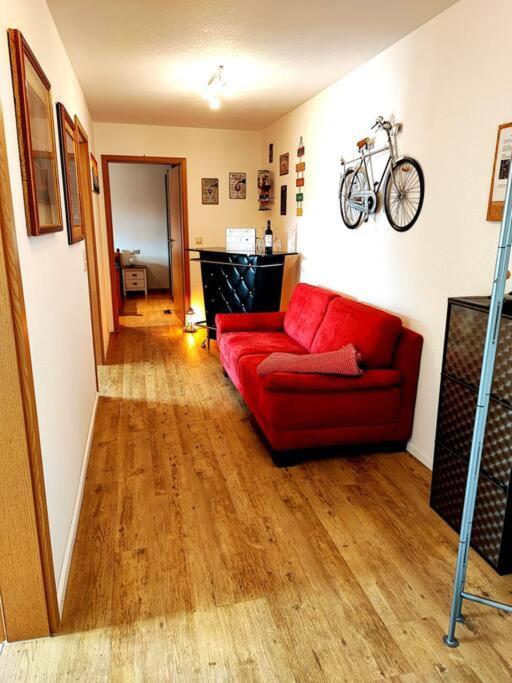 Casa Bobo Im Herzen Rheinfeldens Rheinfelden  Eksteriør bilde